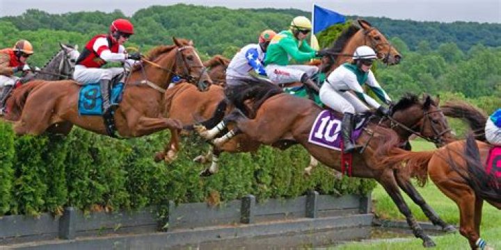 86th Annual Virginia Gold Cup