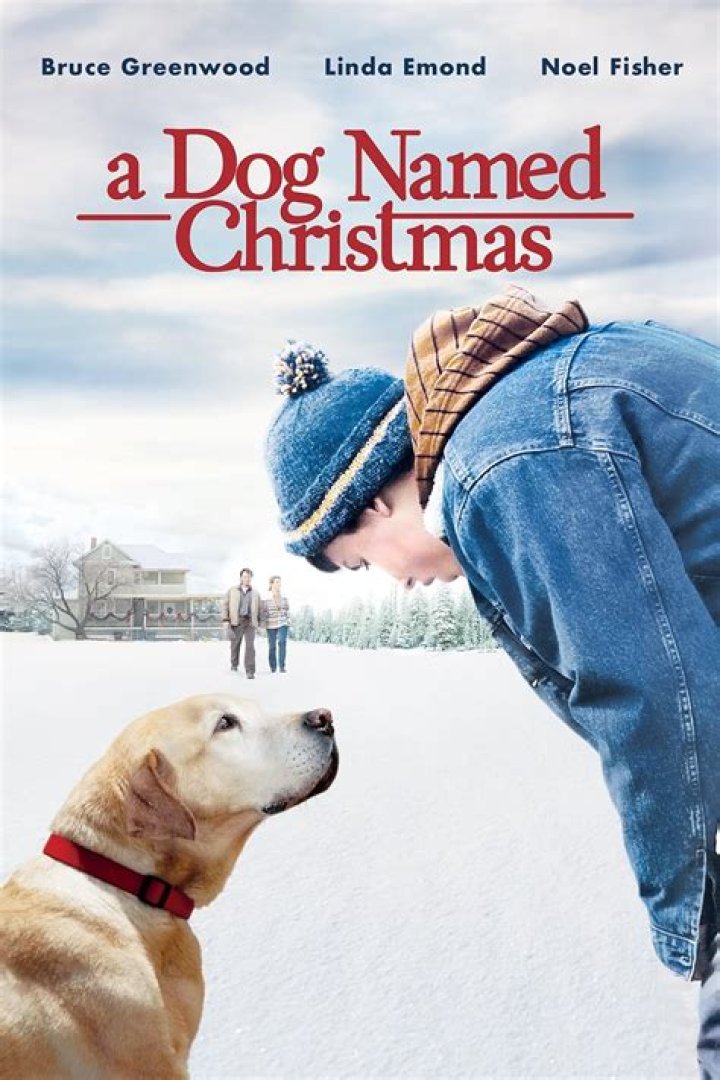 A Dog Named Christmas - Cast, Ages, Trivia
