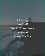 A Treasure Trove of Love and Insights