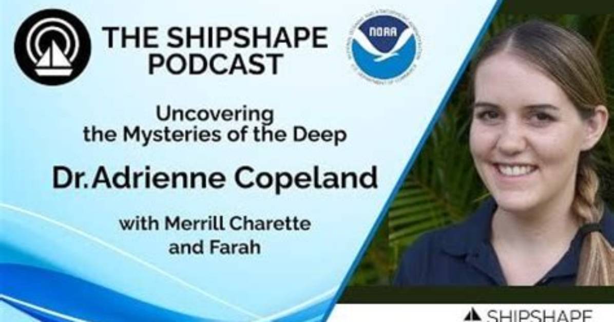 Adrienne Camp: a Deep Dive into the Life and Career of a Remarkable Artist
