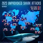 Beware: Recent Shark Attacks Haunt Hilton Head in 2024
