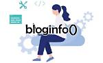 Bloginfo | Bloginfo