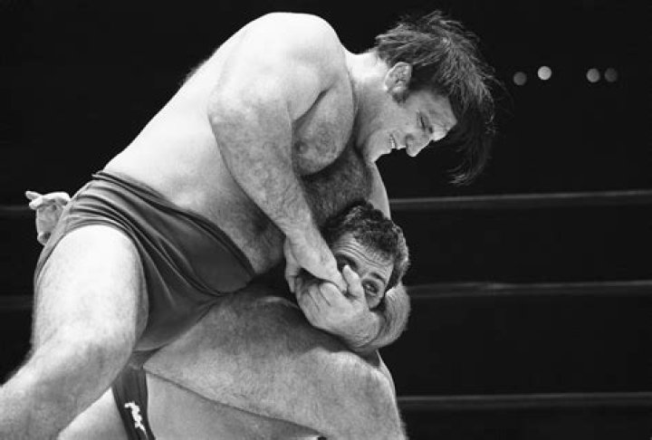 Bruno Sammartino Cause of Death, How did Bruno Sammartino Die?