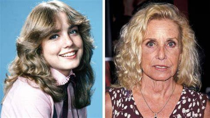 
Dana Plato Cause of Death, How did Dana Plato Die? 