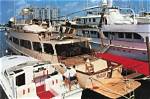 Did Jordan Belforts Yacht Really Sink? Celebrity. Fm #1 Official Stars, Business & People