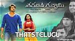 Discovering the Essence of Thatstelugu