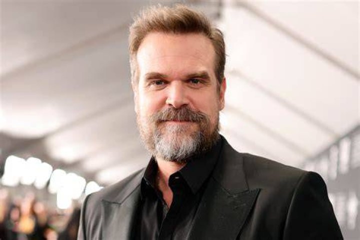 Does David Harbour Speak Russian? Fats You Didn’t Know About His Accent And Family Roots