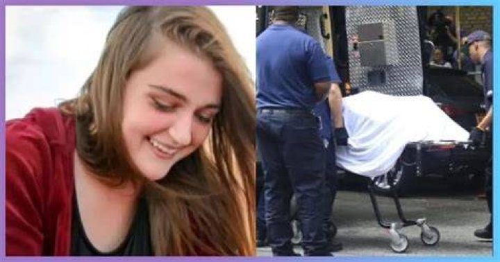 Emily Gladstein Car Accident: What Happened To Her? Family Animal Abuse Case