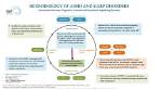 Exploring the Link Between Adhd and Sleep