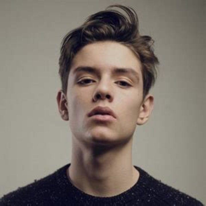 How Old Is Louis Partridge? Bio, Dating Status, Family, Age, Movies, Facts