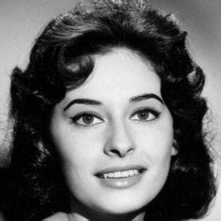 Ina Balin - Trivia, Family, Bio