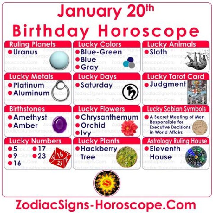 January 20 Horoscope and Zodiac