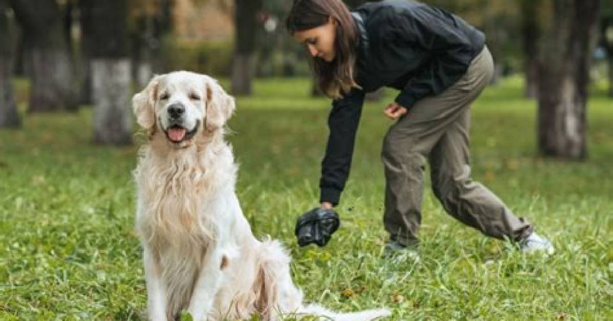 K9Lady: Empowering Dog Owners Through Expertise and Community