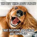 Laugh Your Way into the Weekend with Friday Jokes