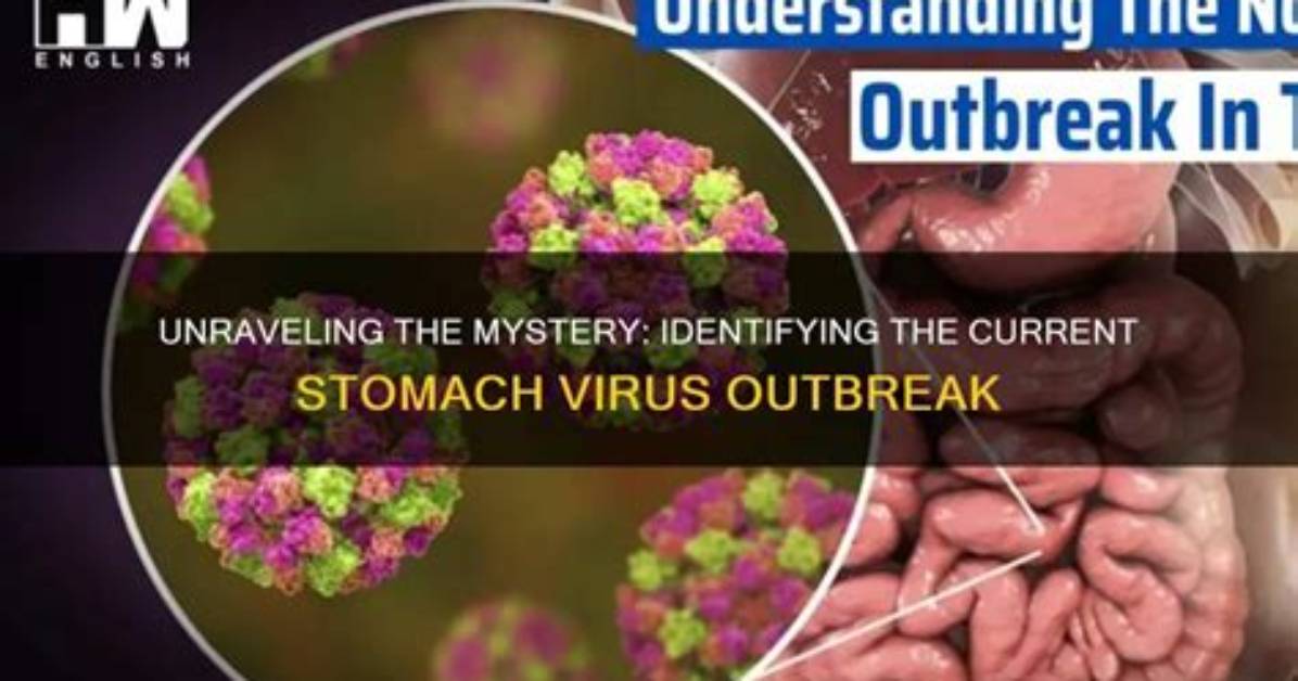 Mapping the Current Stomach Virus Outbreak of 2024