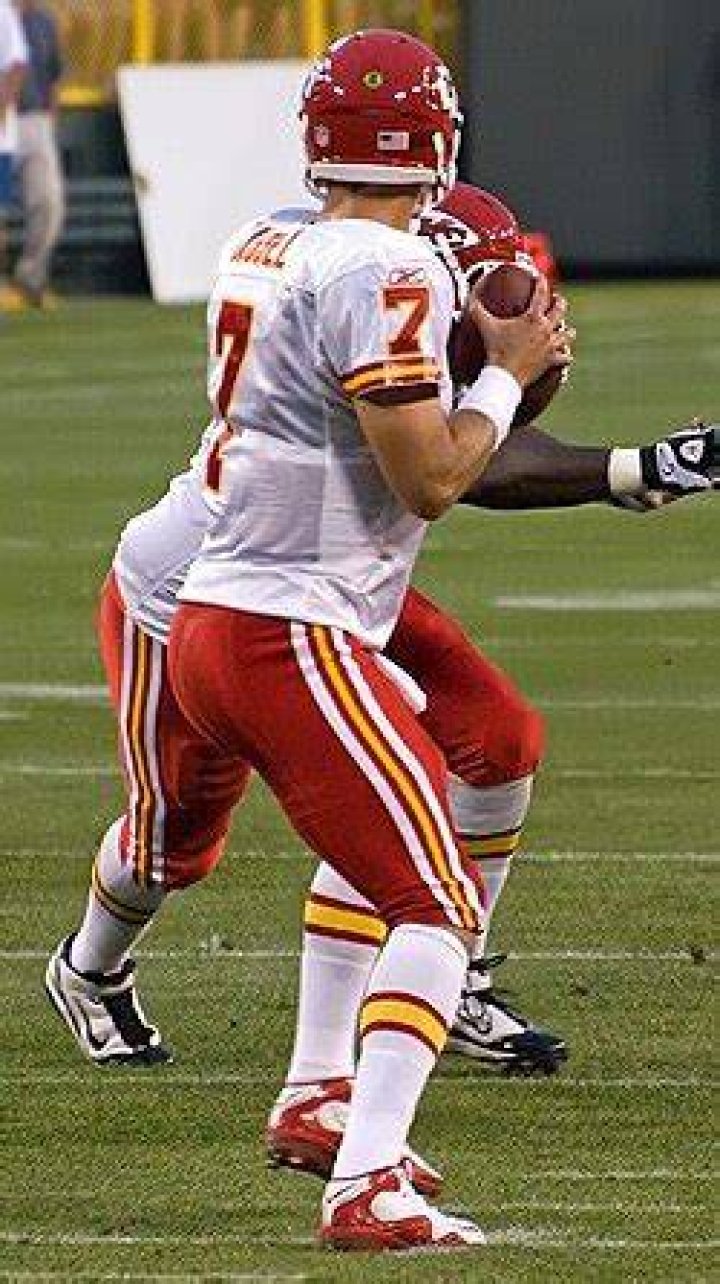 Matt Cassel - Age, Family, Bio