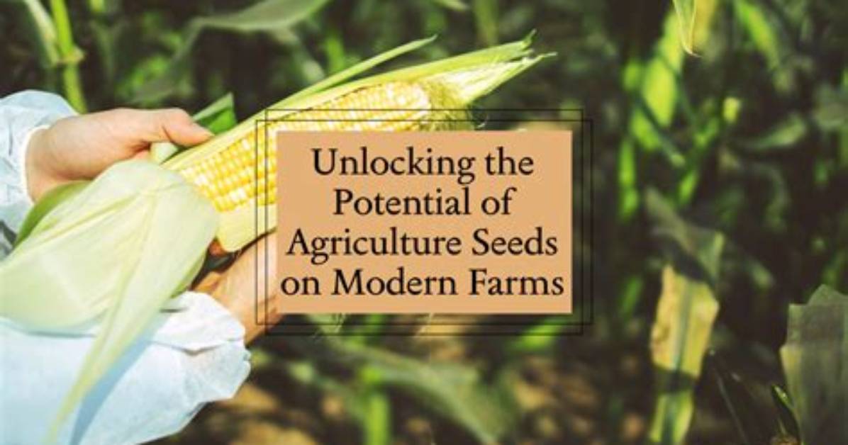 Mayseeds: Unlocking the Potential of Sustainable Agriculture