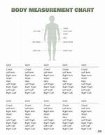 Measurements, Body Positive Insights, and More