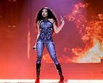 Megan Thee Stallion: the Genre-Bending Queen of Hip-Hop