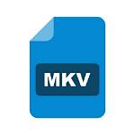 Mkv Point: the Comprehensive Guide to Understanding Its Features and Benefits
