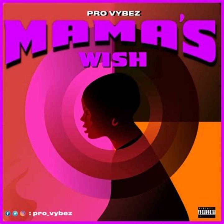 [Music] Pro Vibez - Mama's Wish