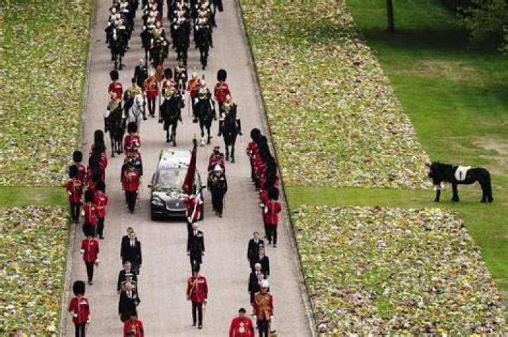 
Queen Elizabeth II’s Corgis, Royal Pony Pay Touching Tribute Amid Funeral Procession 