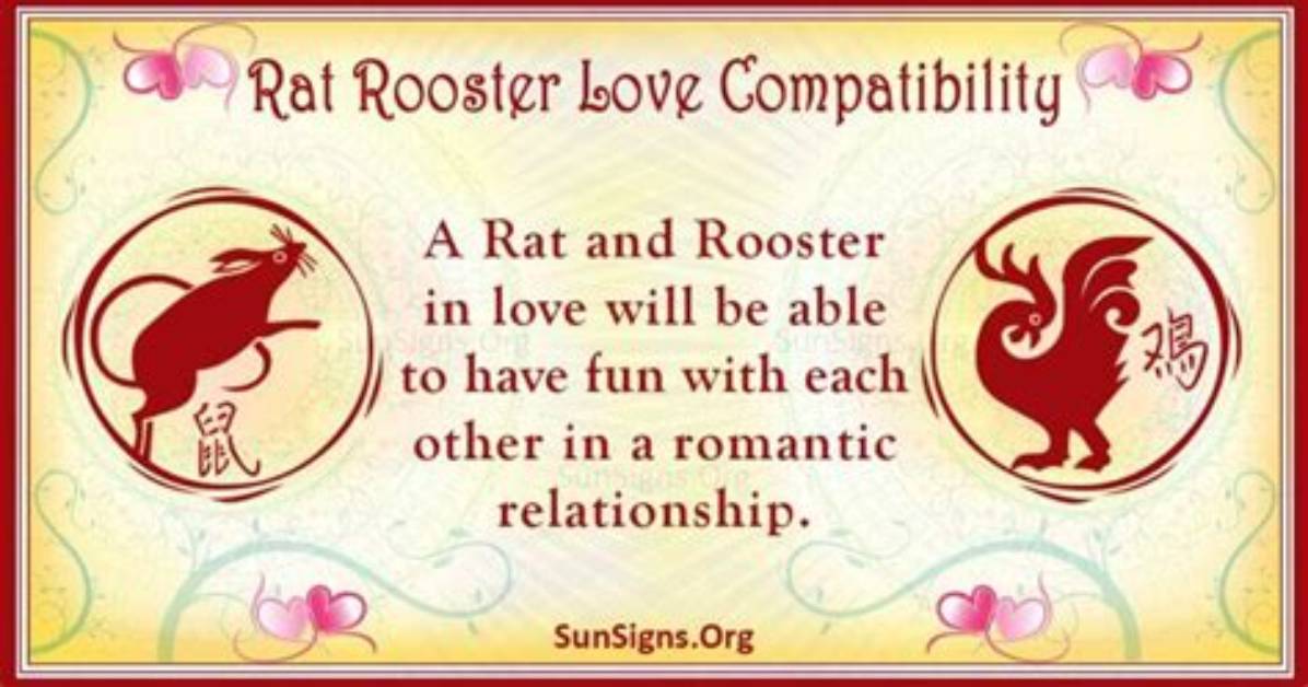 Rat and Rooster Compatibility: Devoted and Faithful Pair