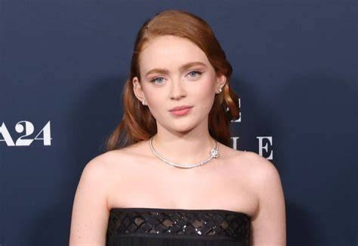 
Sadie Sink Height, Weight, Net Worth, Age, Birthday, Wikipedia, Who, Nationality, Biography 