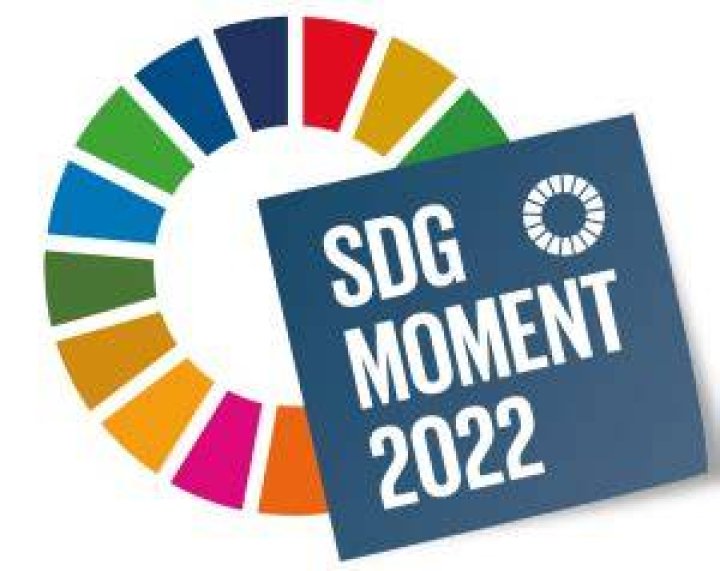 
Scaling up global efforts to invest in Sustainable Development Goals 