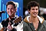 Shawn Mendes and Niall Horan: a Deep Dive into Their Musical Journey and Friendship