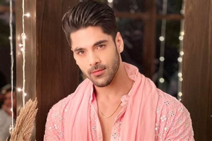 Simba Nagpal Height, Weight, Net Worth, Age, Birthday, Wikipedia, Who, Instagram, Biography