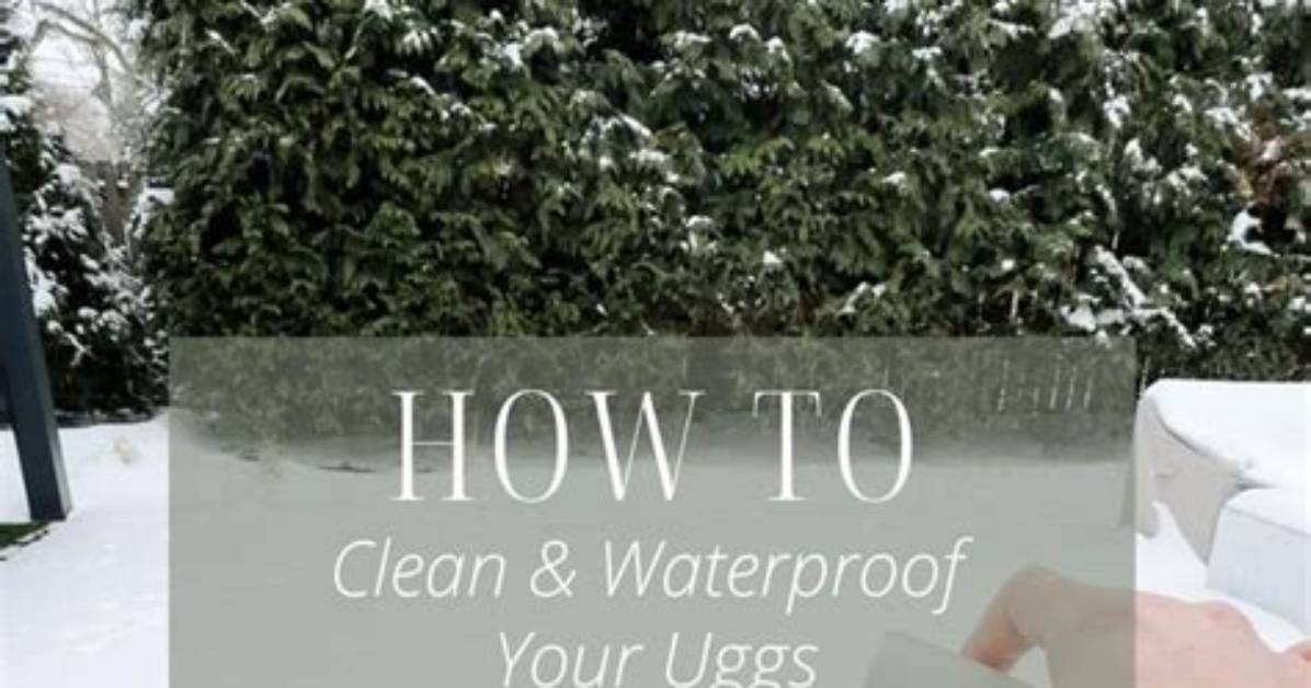 The Ultimate Guide to Insoles for Uggs Arch Support