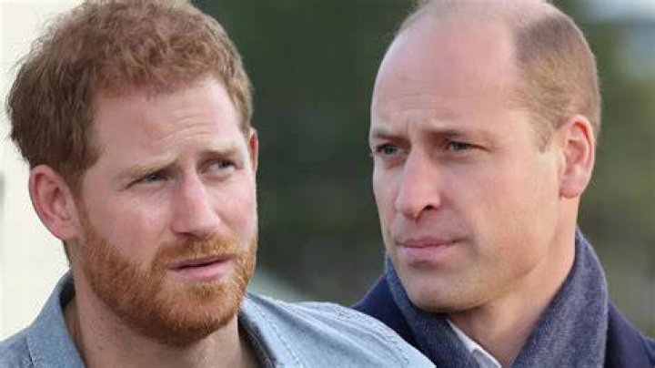 
“This is brutal”: Prince Harry claims brother William physically attacked him, leaving netizens in disbelief 