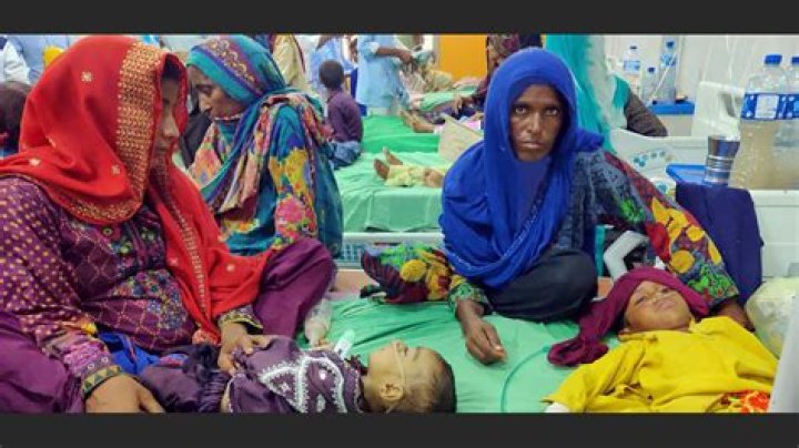 
UN voices concern over outbreaks of diseases in flooded Pakistan 