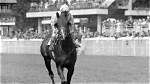 Uncover the Age of Horse Racing Legend: Bode Baffert
