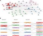 Uncovering a Decade of Evolution