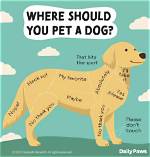 Understanding Elmo: the Dog You Shouldn't Rile Up