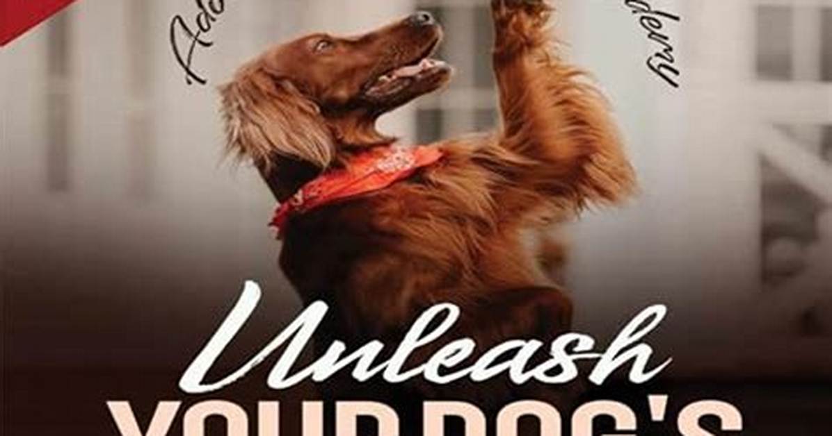 Unleash Your Dog's True Potential
