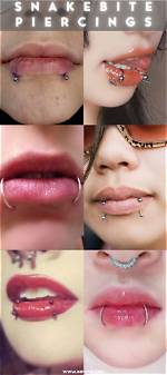Unleashing the Edge: the Allure of Snake Bite Piercings for Men