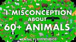 Unlocking Insights into "Dumbest Animal" Misconceptions