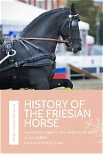 Unveiling the Enchanting History of Friesian Horses