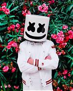 Unveiling the Mystery Behind the Marshmello Name