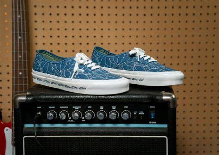 
Vans x Tony Alva collection: Where to buy, release date, and more explored 