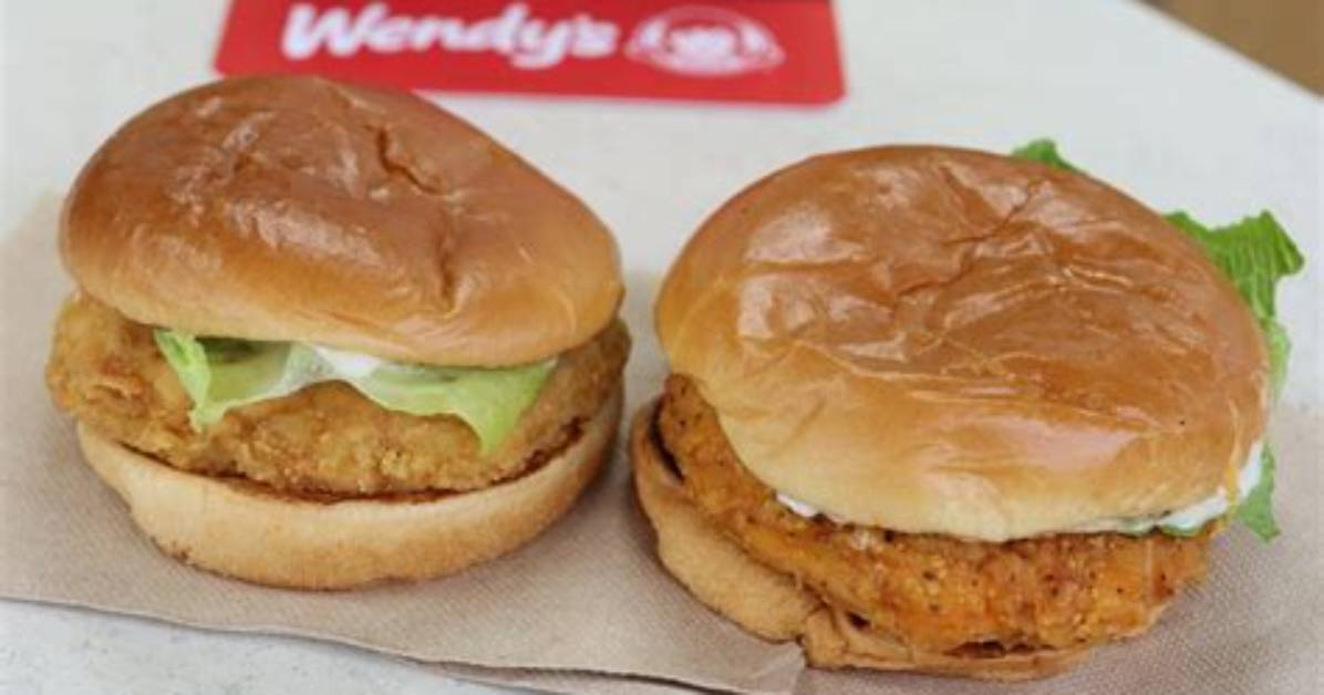 Wendy's Premium Bun vs Sandwich Bun: a Comparison