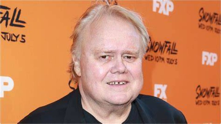 
What Happened To Louie Anderson? Comedian Died Following Hospitalization From Cancer 