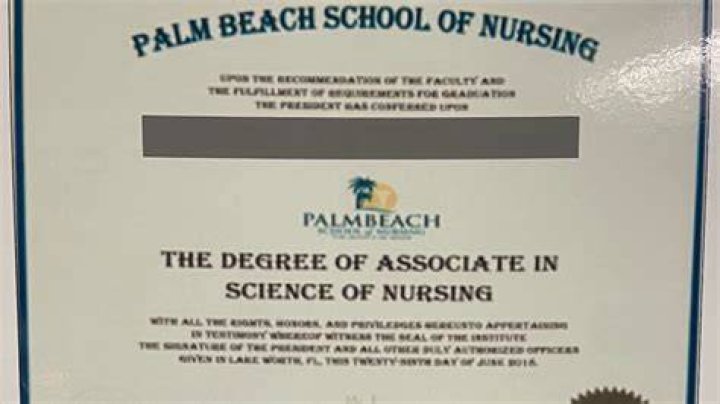 
Which nursing schools have shut down in Florida? Multi-million-dollar fake diploma scheme explained as 25 get arrested 