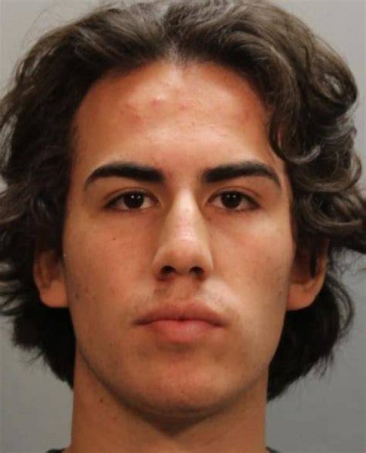 Who Is Mateo Borda Boyanovich And Why Is He Arrested?