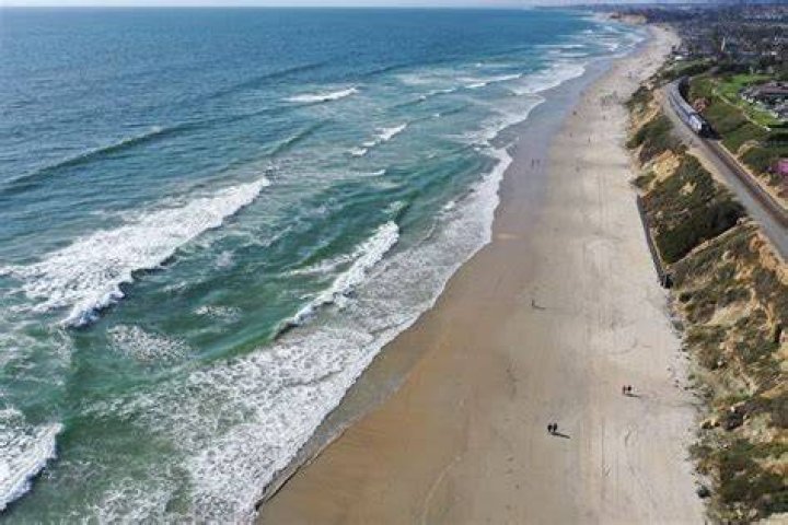 
Woman, 50, in Stable Condition After Being Attacked By Shark at Beach in Del Mar, Calif. 