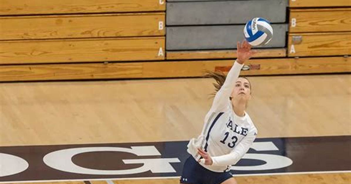 Yale Volleyballs 17-gameUnstoppable Streak Secures Ivy League Conference Titleand Ncaa Spot