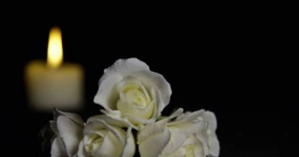 Zach Floss Obituary – What Happened? Death Cause and Accident Details